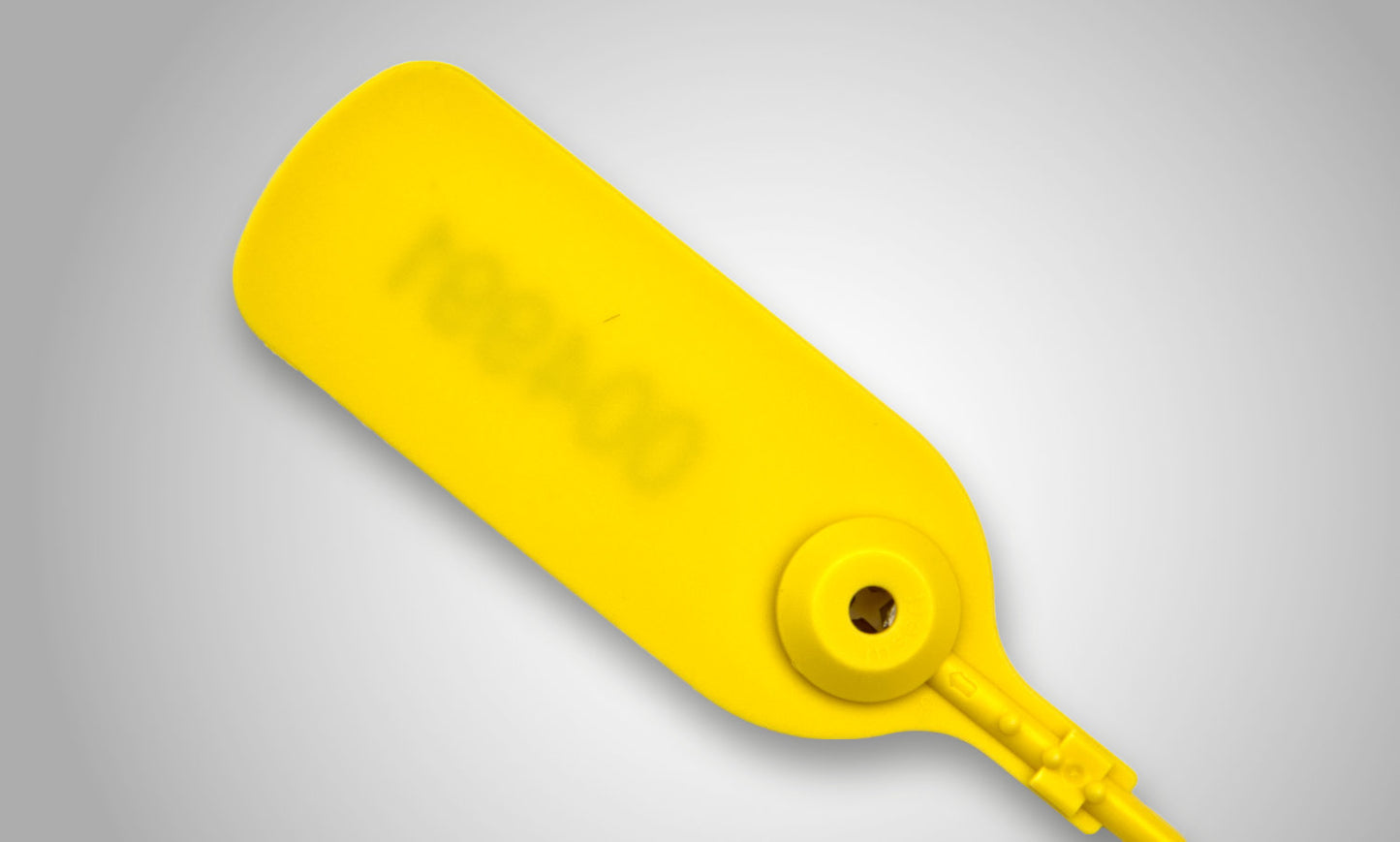 Multi Purpose Security Seals